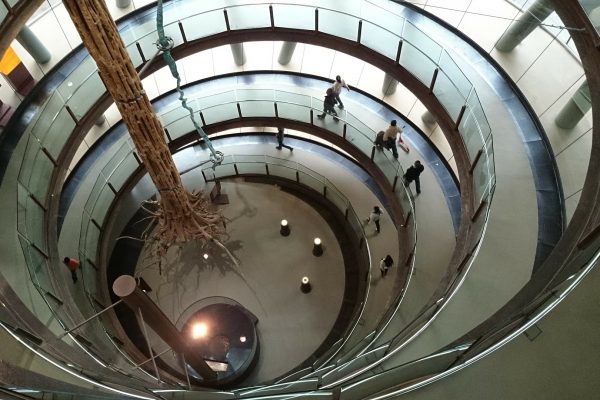 » ¿Cómo mejorar la accesibilidad en los edificios?