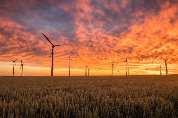 »  Catalunya. Publicat el nou decret llei de mesures urgents per a l’emergència climàtica i l’impuls a les energies renovables.