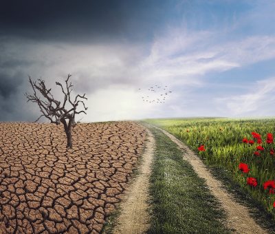 » Consulta pública. Programa de Trabajo 2026-2030 del Plan Nacional de Adaptación al Cambio Climático.