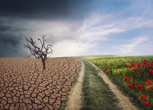 » Consulta pública. Programa de Trabajo 2026-2030 del Plan Nacional de Adaptación al Cambio Climático.